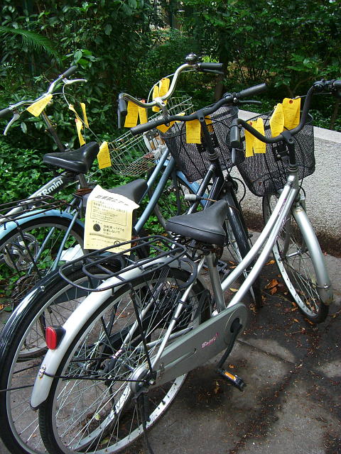 20090720-bicycle01.jpg