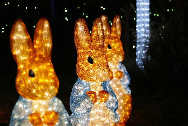 20091216-rabbit.jpg