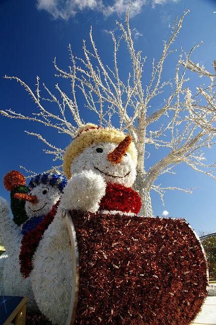 20091218-snowman.jpg