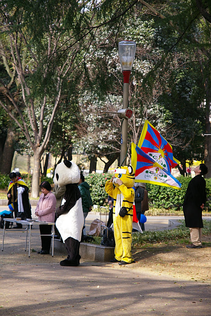 20100320-utsubo-tibet.jpg