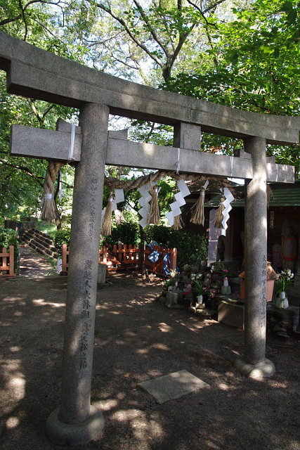 20100807-muenbotoke-torii.jpg