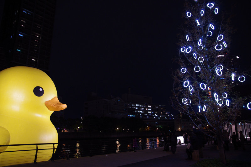 20101212-nakanoshima-duck04.jpg