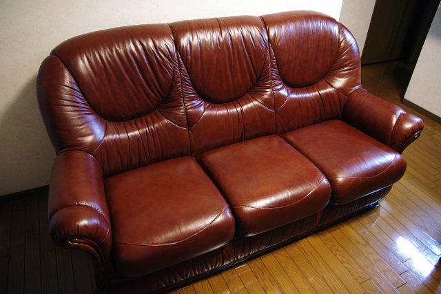 20101212-sofa.jpg