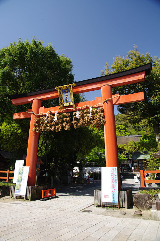 20120428-matsuo-torii.jpg