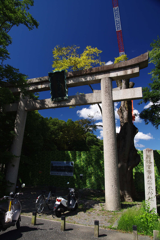 20140914-gyoen-nasinoki-mansion.jpg