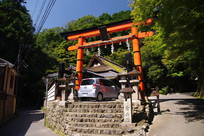 20140923-toriimoto-torii.jpg