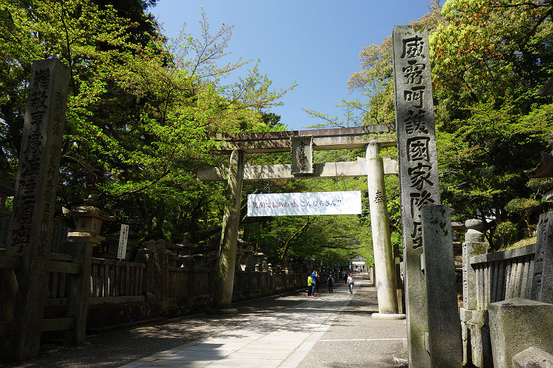 20170419-kotohira-sakurababa-torii.jpg