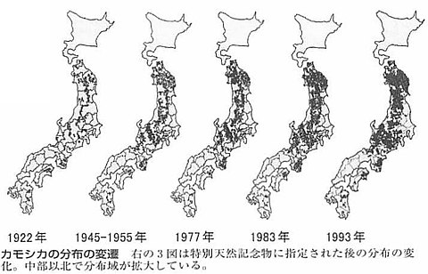 20180505-sinrinkouen-kamosika-map.jpg
