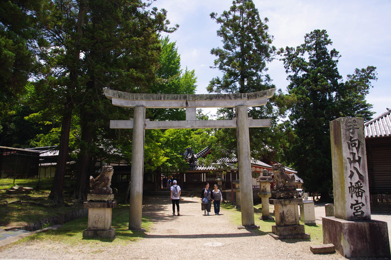 20180614-tamukeyamahatiman-torii.jpg