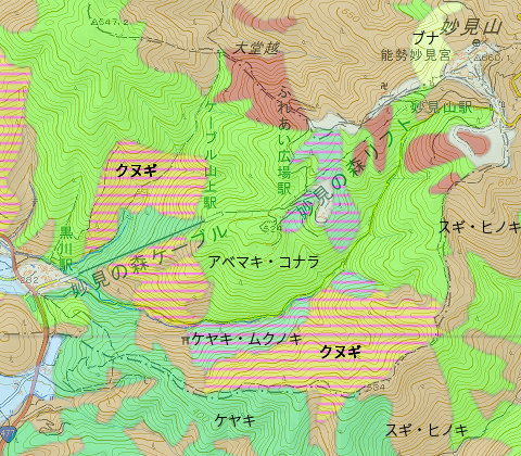20190428-syokusei-map.jpg