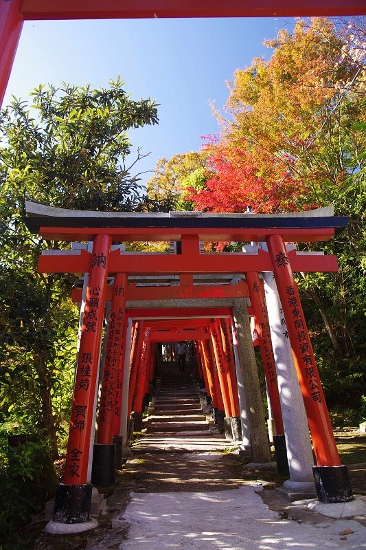 20191121-sigisan-torii.jpg
