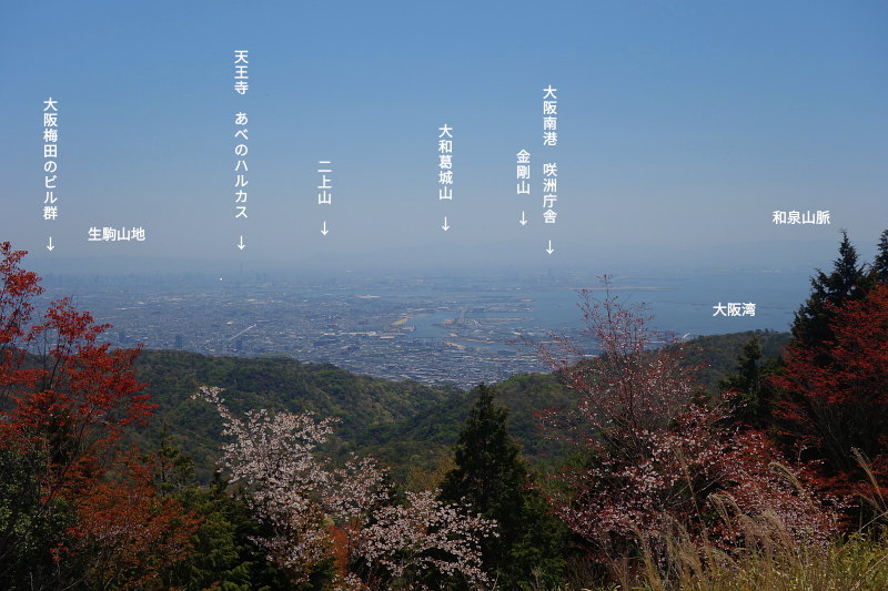 20200425-higasiotafuku-view01.jpg