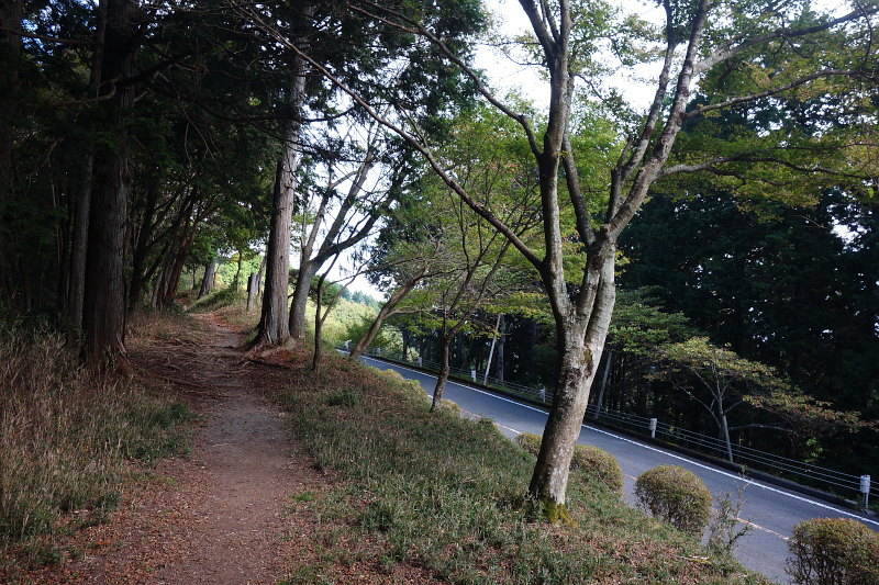 20211015-saitou-yokokawa-road03.jpg