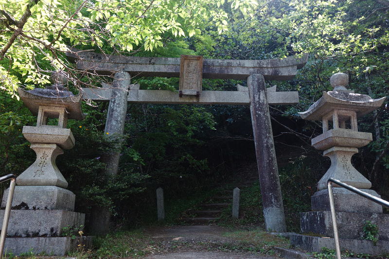 20220508-ryuuoumiya-torii.jpg