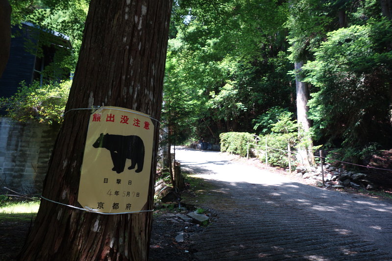 20220609-yakouzaka-trail-02-kuma.jpg