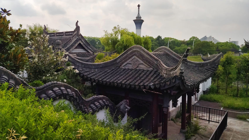 鶴見緑地 中国庭園 20250829-china.jpg