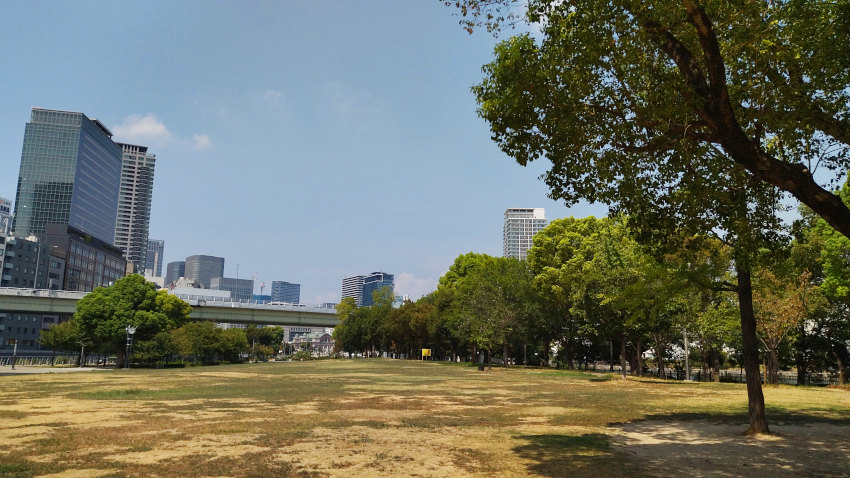 誰も居ない中之島公園の芝生広場 20250829-nakanosima-park.jpg