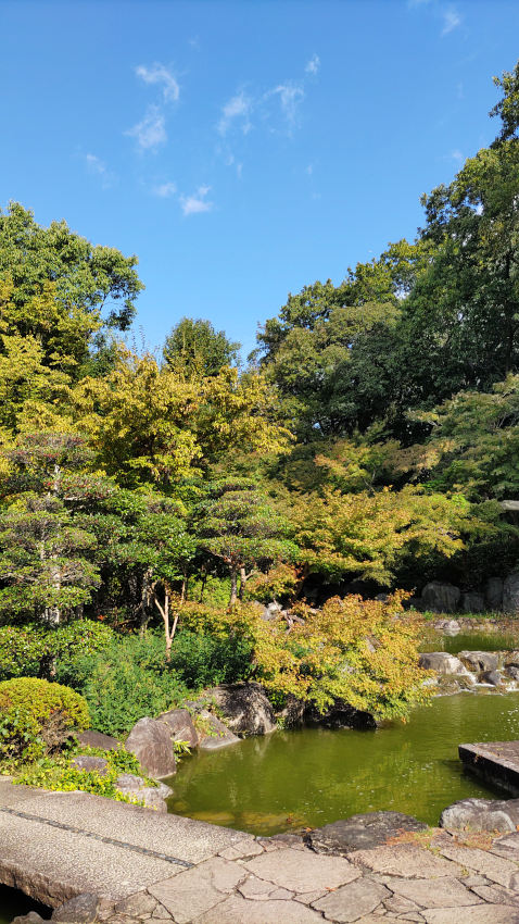 鶴見緑地 国際庭園の「日本庭園」 20251027-nihonteien.jpg