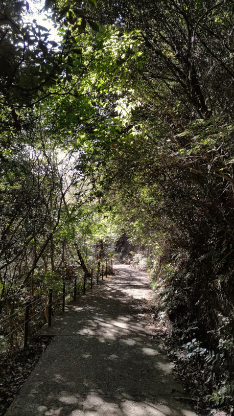 堰堤の保守作業のため、コンクリート舗装された登山道を下っていく 20251030-aotanimichi-03.jpg