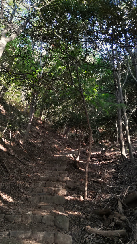 五鬼城展望公園の階段をひたすら登る 20251030-gikishiropark-01.jpg