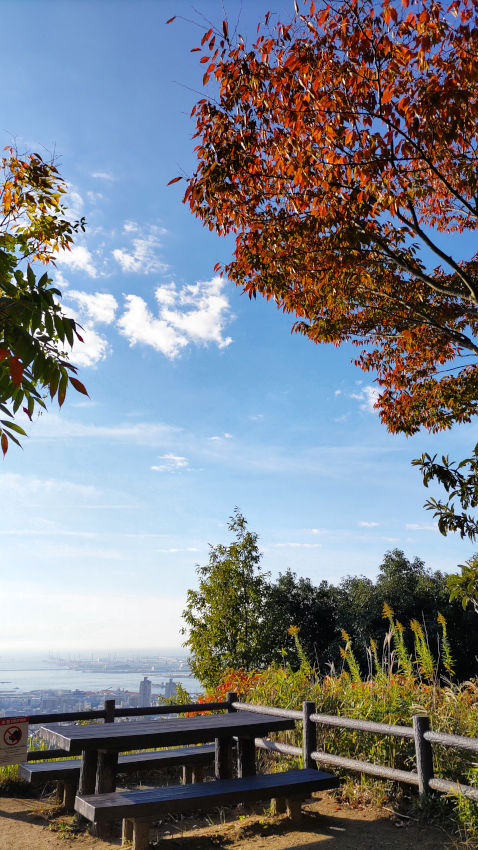 五鬼城展望公園の展望台に出た。真っ赤に色づいたケヤキと、半分紅葉したハゼノキがある 20251030-gikishiropark-02.jpg