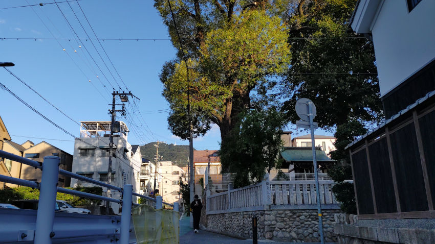 JR神戸線を横切る赤レンガトンネルを抜けると、まっすぐ前方に摩耶山のテレビ送信塔が見える 20251030-jr-nishinada-tunnel-02.jpg