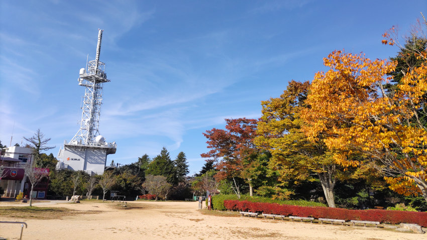 ケヤキやドウダンツツジが紅葉している掬星台 20251030-kikuseidai-01.jpg