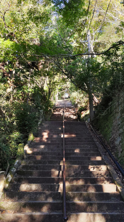 石段の前半は緩やか、後半は急傾斜。長さ200m、標高差60mほどの長い階段だ 20251030-tenjyouji-ishidan-02.jpg