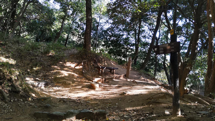 13丁の丁石がある分岐点 20251030-uenomichi-01.jpg