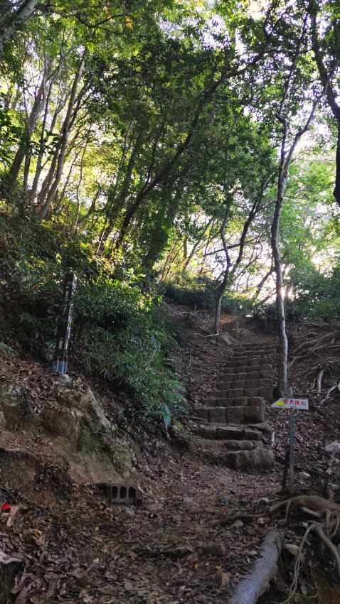 ケーブル虹駅への分岐点 20251030-uenomichi-02.jpg