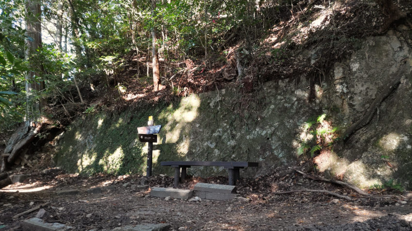 青谷道との合流地点(標高約530m) 20251030-uenomichi-aotanimiti-bunki.jpg