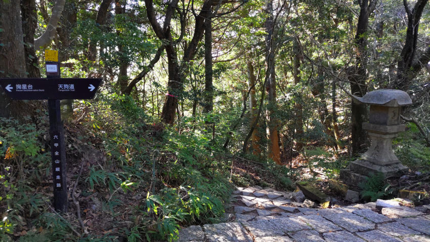 急登を登りきると、摩耶山上の舗装道路と合流 20251030-uenomichi-tengumichi-bunki.jpg