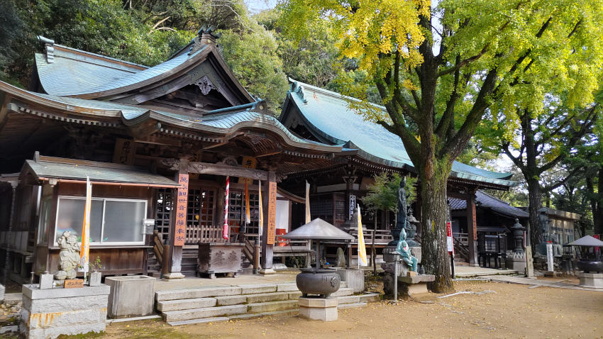 大龍寺 毘沙門堂と大師堂。イチョウの大木は、すこしだけ黄色く紅葉している 20251111-dairyuji-daisidou.jpg