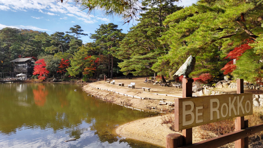 修法ヶ原池の東湖畔にある撮影ポイント 20251111-siogaharaike-05.jpg