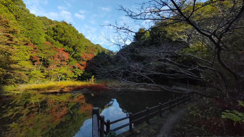 猩々池 20251111-syoujyouike.jpg