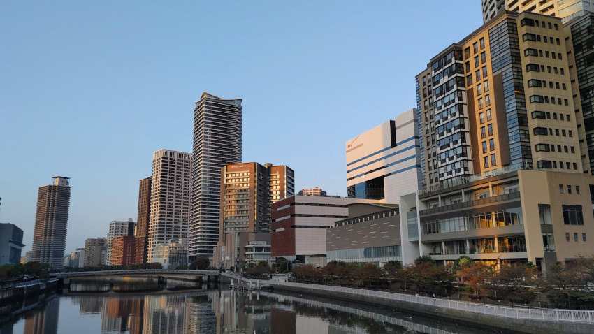 田蓑橋から見た堂島川 20251114-dojimagawa.jpg
