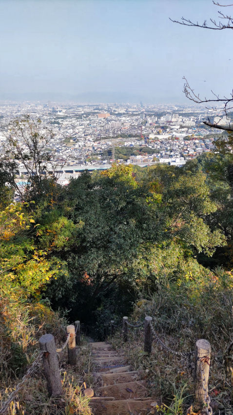 VII郭から一気に尾根を下る階段 20251114-iimorijyou-7kaku.jpg