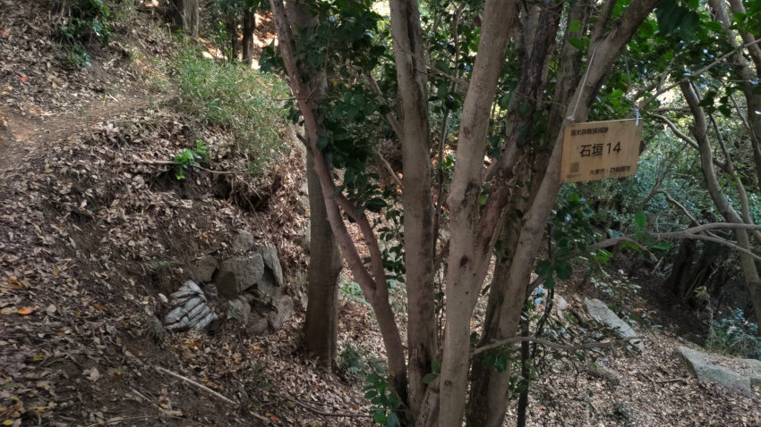 飯盛城 石垣14 20251114-iimorijyou-isigaki14.jpg