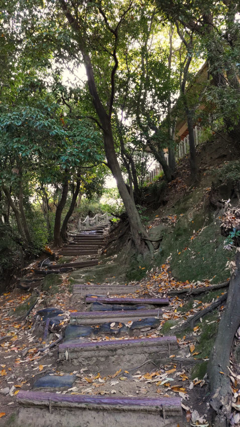 休憩広場から展望休憩所への急な階段を登る 20251114-kyuukeihiroba-tenboukyukeisyo.jpg