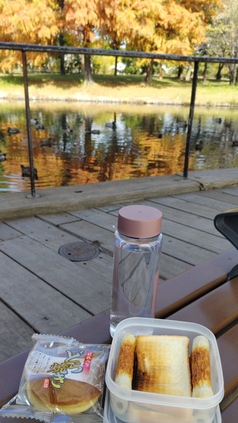 昼食 (インゲン トーストサンドイッチと、焼ちくわ4本、どら焼き) 20251114-lunch.jpg