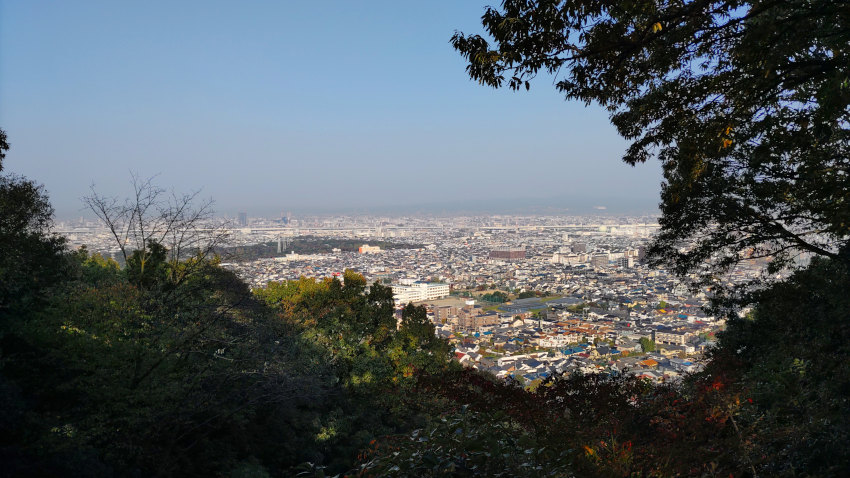 野崎城址 本郭跡からの眺め。眼下に東高野街道(現 府道20号線)付近の街並みが見えている 20251114-nozakijyou-view.jpg