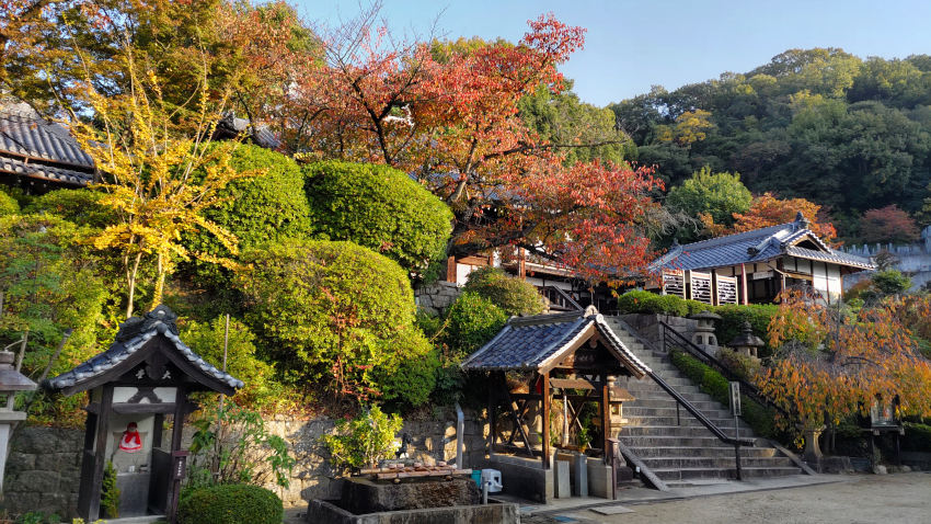 野崎観音 本殿は一段高いところにある 20251114-nozakikannon-honden.jpg