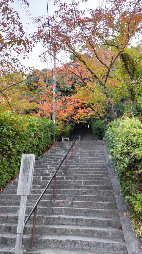 野崎観音の石段を登る 20251114-nozakikannon-isidan.jpg