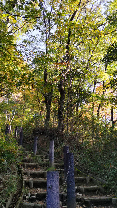 長い階段を登る(市道 北条竜間線) 20251114-sidou-houjyouryugen-kaidan.jpg