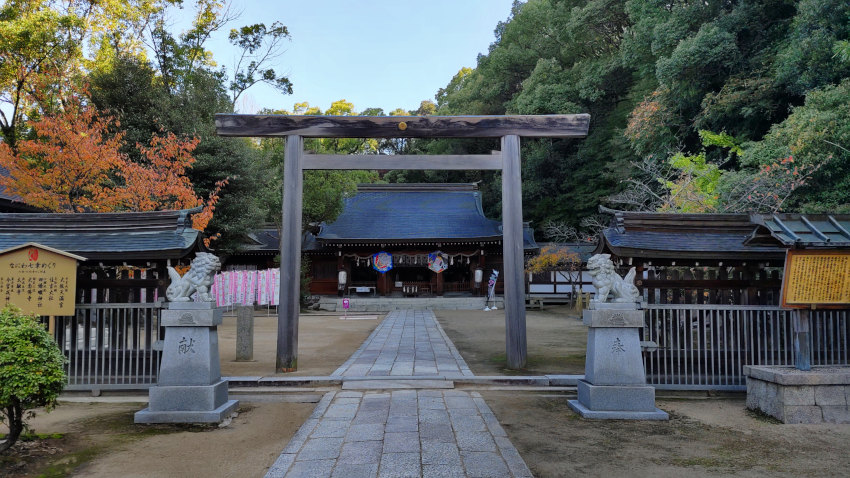 四條畷神社 20251114-sijyounawatejinjya.jpg