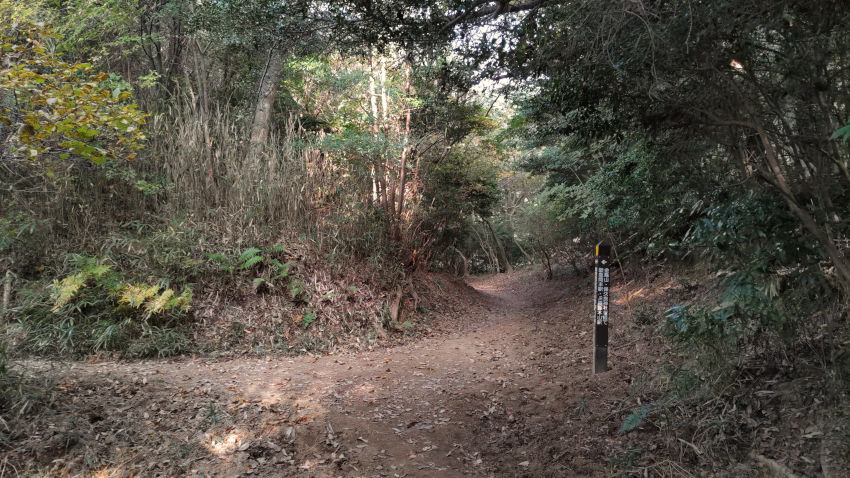 保久良神社・金鳥山からの道が合流する 20251117-hokurajinjya-bunki.jpg