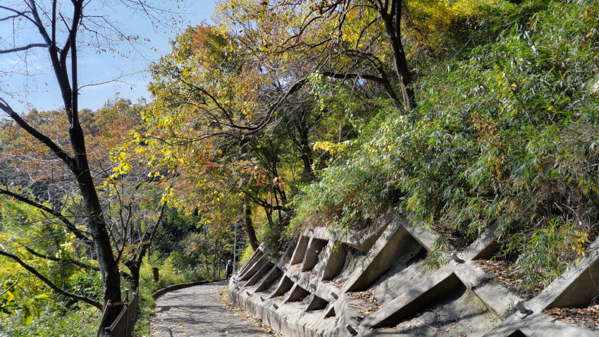 つづら折りの保久良神社 参道を降りる 20251117-hokurajinjya-sandou.jpg