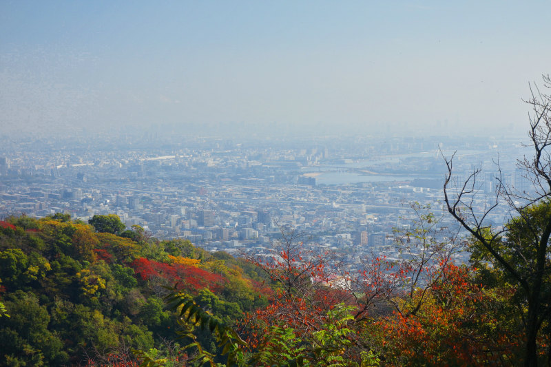 階段道からは阪神間の街並みがよく見える 20251117-kintyousan-hokura-02.jpg