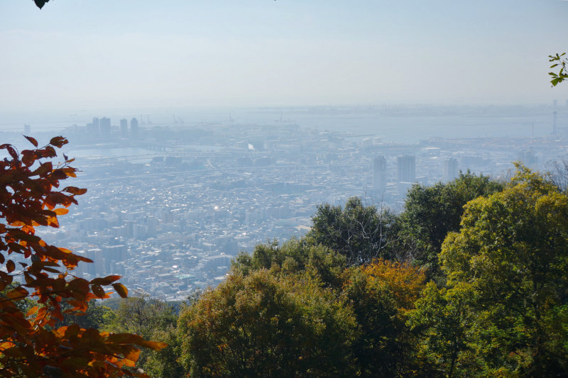 金鳥山の休憩所からの眺め 20251117-kintyousan-kyukeisyo-view.jpg