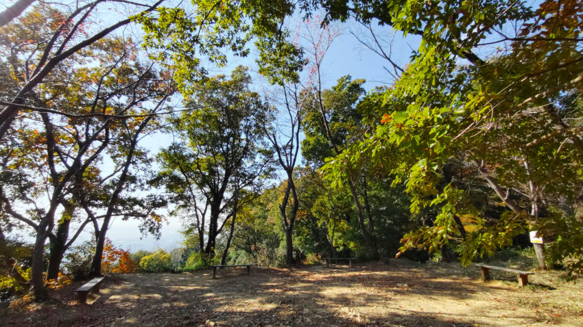 金鳥山 休憩所 20251117-kintyousan-kyukeisyo.jpg